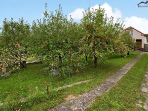 Prodej rodinného domu, Čebín, 70 m2