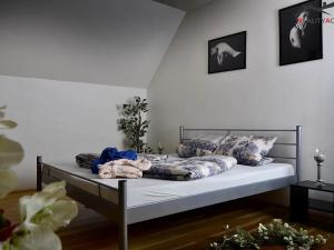 Prodej ubytování, Rozdrojovice, Za Humny, 850 m2