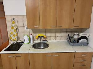 Pronájem bytu 1+kk, Praha, Na dolinách, 30 m2