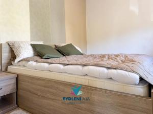 Prodej vily, Roprachtice, 373 m2