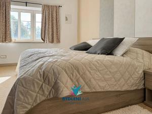 Prodej vily, Roprachtice, 373 m2