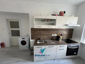 Prodej bytu 1+1, Teplice, 14. října, 41 m2