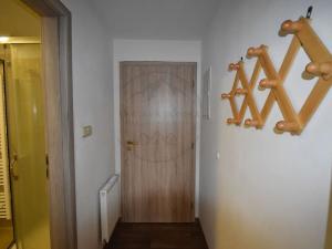 Pronájem bytu 1+kk, Bělá pod Pradědem, 29 m2