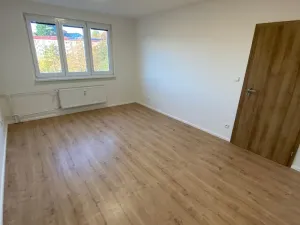 Prodej bytu 3+1, Uherský Brod, Družstevní, 72 m2