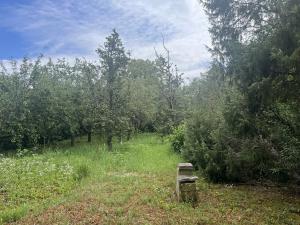 Pronájem sadu/vinice, Praha - Točná, Ke starému hřišti, 3842 m2