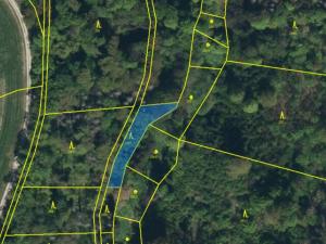 Prodej lesa, Řepníky, 562 m2