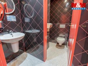 Prodej obchodního prostoru, Praha - Troja, Olštýnská, 450 m2