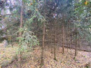 Prodej lesa, Srbice - Těšovice, 2923 m2