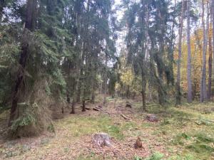 Prodej lesa, Srbice - Těšovice, 2923 m2