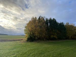 Prodej lesa, Srbice - Těšovice, 1109 m2