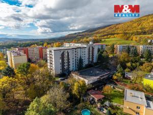 Prodej bytu 1+kk, Chlumec, Vyklická, 35 m2