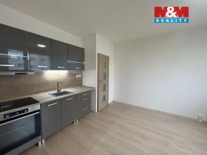 Pronájem bytu 1+1, Ústí nad Labem - Střekov, Nová, 35 m2