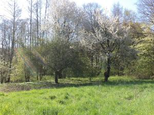 Prodej pozemku, Kamenná - Kondrač, 2542 m2