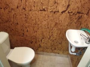 Pronájem skladu, Praha - Střešovice, Za Pohořelcem, 55 m2