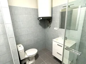 Prodej vícegeneračního domu, Písek, V Koutě, 786 m2