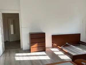 Pronájem bytu 2+1, Praha - Vinohrady, Mrštíkova, 63 m2