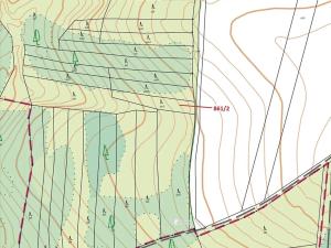 Dražba lesa, Moravské Budějovice, 834 m2