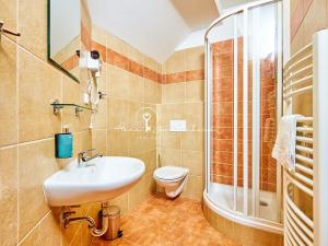 Prodej ubytování, Český Krumlov, Rooseveltova, 270 m2