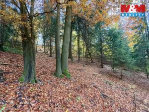 Prodej lesa, Jestřebí, 6855 m2