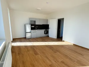 Pronájem ubytování, Slavkov u Brna, U Mlýna, 1320 m2