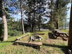 Pronájem bytu 2+kk, Brno, 82 m2