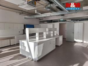 Pronájem komerční nemovitosti, Zlatníky-Hodkovice - Hodkovice, Inovační, 70 m2