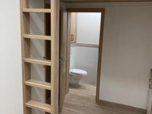 Prodej bytu 1+kk, Opava - Předměstí, Alšova, 20 m2