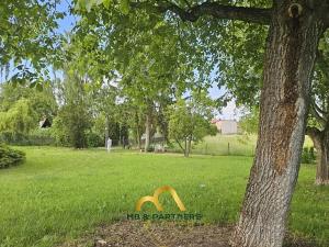 Prodej komerční nemovitosti, Doubravička, 195 m2