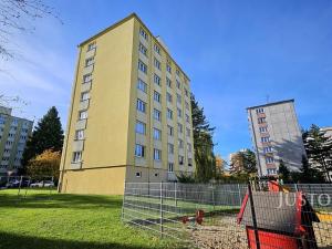 Prodej bytu 2+1, Písek, Dr. M. Horákové, 51 m2