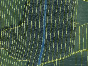 Prodej lesa, Srbice - Těšovice, 3279 m2