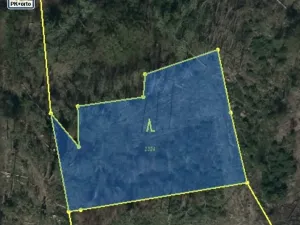 Dražba lesa, Kožichovice, 2269 m2