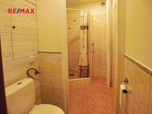 Pronájem bytu 1+1, Plzeň, Krejčíkova, 42 m2