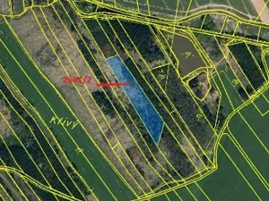 Prodej podílu lesa, Dolní Cerekev, 11817 m2