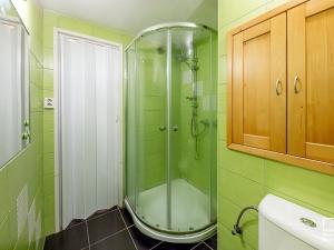 Pronájem bytu 1+kk, České Budějovice, Fr. Ondříčka, 23 m2