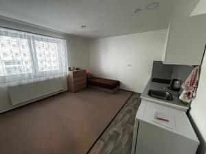 Pronájem bytu 1+kk, Čáslav - Čáslav-Nové Město, Boženy Němcové, 27 m2