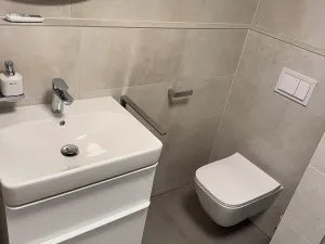 Pronájem bytu 2+kk, Brno, Hlinky, 44 m2