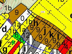Dražba lesa, Náměšť nad Oslavou, 1976 m2