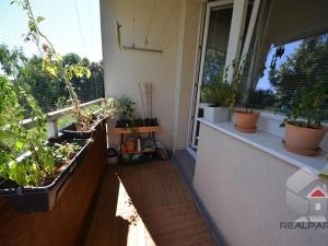 Pronájem bytu 2+kk, Brno, Kunštátská, 57 m2