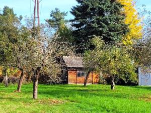 Prodej zahrady, Cvikov, Wolkerova, 823 m2