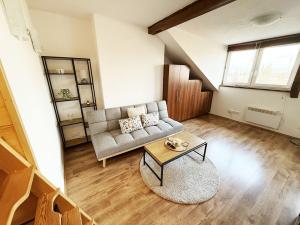 Pronájem bytu 1+1, Olomouc, Jeremenkova, 31 m2