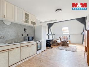 Prodej rodinného domu, Habartice, 1770 m2