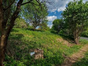 Prodej pozemku pro bydlení, Veliny, 3712 m2