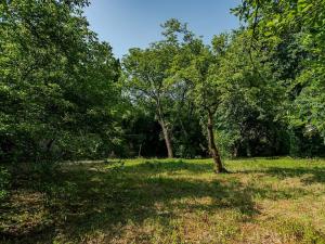 Prodej pozemku pro bydlení, Choceň, Tocháčkův kopec, 1926 m2