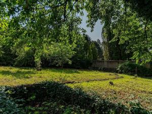 Prodej pozemku pro bydlení, Choceň, Tocháčkův kopec, 1926 m2