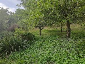 Prodej pozemku pro bydlení, Vysoké Mýto, Vinice, 1447 m2