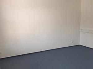 Pronájem obchodního prostoru, Ostrava - Vítkovice, Šalounova, 200 m2