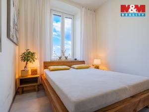 Prodej bytu 3+1, Vyskytná nad Jihlavou, 132 m2