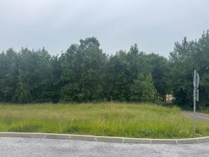 Prodej pozemku, Slavče - Dobrkovská Lhotka, 1251 m2