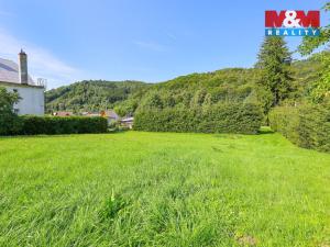 Prodej pozemku pro bydlení, Loučná nad Desnou - Kociánov, 8815 m2