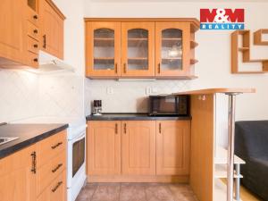 Pronájem bytu 1+kk, Praha - Libeň, Kašparovo náměstí, 29 m2